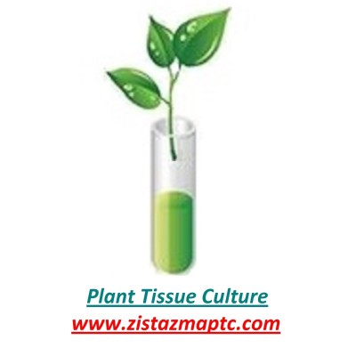 شرکت بیوتکنولوژی و شیمیایی زیست آزما