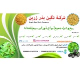 شراء وبیع جمیع أنواع البذور الزراعیة (بذور البرسیم)