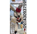 تستفید ملابس الدمى Rabbit و Mickey و Tweety و Poo والتصمیمات المخصصة 09143093759