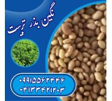 Guaranteed alfalfa seed sales to all locations
