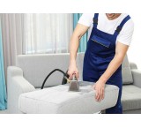 Specialized sofa cleaning services