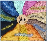 Video introduction of fish skin leather industry