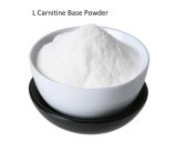 L-carnitine