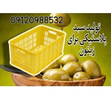 Sale of olive baskets and all kinds of plastic baskets in Mazandaran