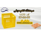 Sale of plastic basket, egg comb basket