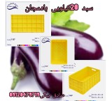 Eggplant basket, sorting basket, 20 kg closed box