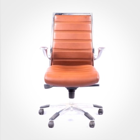 Office chair model A_100 of Shayan Sanat Rooz company