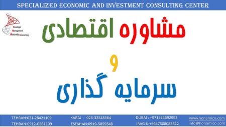 Economic and investment consulting center