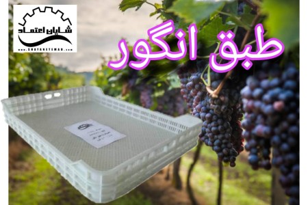 According to raisins, according to grapes, dried fruit basket