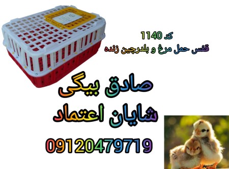 Live chicken carrier, chicken cage, bird carrier cage, slaughterhouse cage