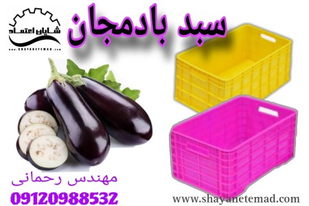 سلة الباذنجان/سلة الفلفل/التخزین البارد وسلة الدفیئة