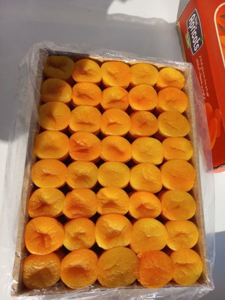 Qaisi Apricot