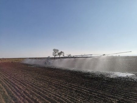 Irrigation with a sprinkler