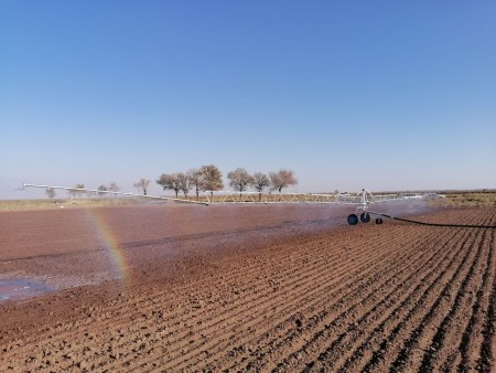 Irrigation with a sprinkler