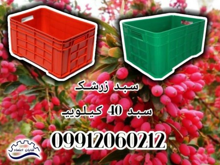 Barberry basket, round box, plastic basket