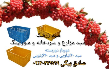 Barberry basket, barberry plastic basket, barberry sort basket, closed barberry box