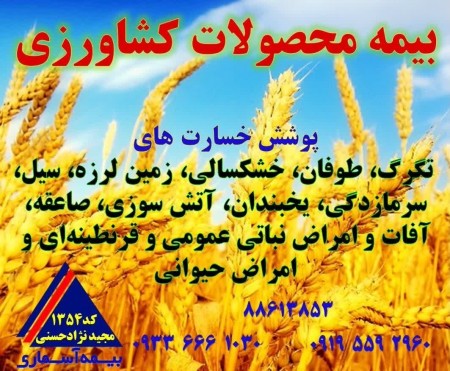 بیمه آسیب به محصولات کشاورزی