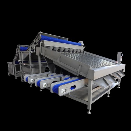 Saman Gahan dry fruit production line