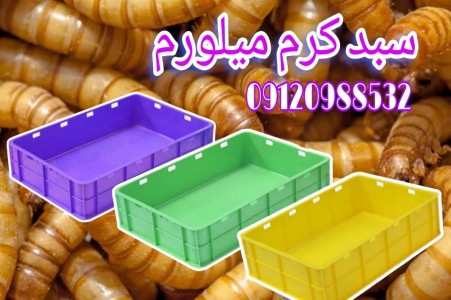 خرید و فروش سبد پرورش میلورم،زعفران و سبد صنعتی