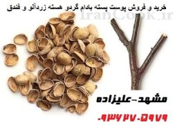 خرید و فروش اینترنتی پوست پسته،بادام،گردو