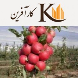 قابل توجه افراد جویای کار