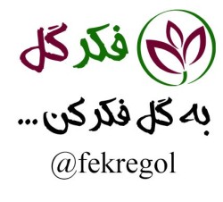 فروشگاه اینترنتی فکرگل فروش انواع گل و گیاهان آپارتمان