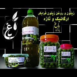 زیتون و روغن زیتون ارگانیک و فرابکر باغ پدری