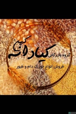 فروش انواع ذرت،ذرت شکسته ،گندم، گندم شکسته ، سویا ، جو