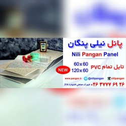 نیلی پنگان میدیا