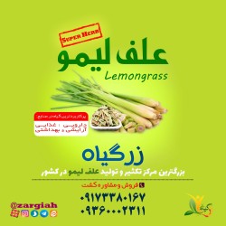 فروش برگ و نشا علف لیمو