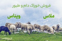 خرید ملاس ، فروش ملاس،فروش ویناس با قیمت مناسب در قزوین - تهران - اصفهان