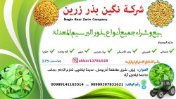 خرید و فروش انواع بذر های کشاورزی (بذر یونجه)