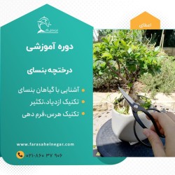 دوره آموزشی تولید و پرورش درختچه بنسای