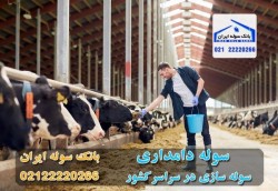 ساخت و طراحی سوله دامداری