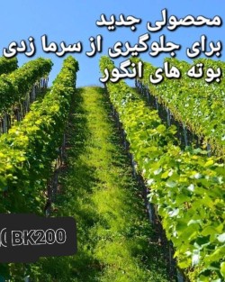 BK 200  ضد یخ درخت