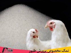 فروش ویژه نمک مخصوص طیور