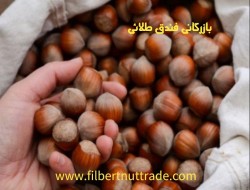 فندق اشکورات گیلان