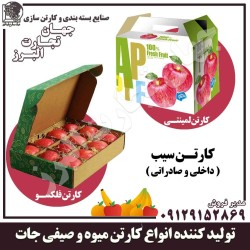 کارتن میوه و بسته بندی میوه صادراتی