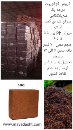 کوکوپیت فاین