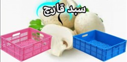 تولید و فروش سبد قارچ