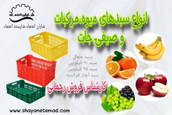 سبد پلاستیکی/سبد حمل میوه/سبد مرکبات