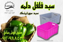 سبد حمل فلفل دلمه/سبد سردخانه/سبد درجه2