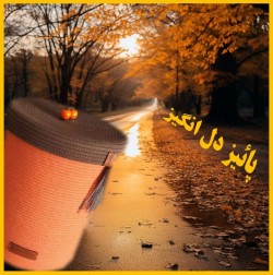 سبدنظم دهنده وسایل خانه (لاندری باکس) با نخ قیطان پنبه