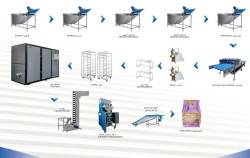 خط تولید میوه خشک سامان گاهان
