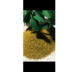 Exporting alfalfa seeds, selling all kinds of cultivated fodder seeds