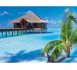 تور مالدیو تابستان 1403- با سفریار