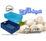 Mushroom basket/plastic basket/10 kg basket