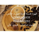 Major date kernel coffee in Tabriz