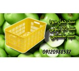 20 kg basket/25 kg basket/fruit basket