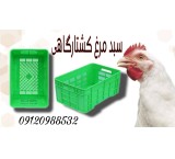 Slaughterhouse basket/chicken basket/2 kg basket